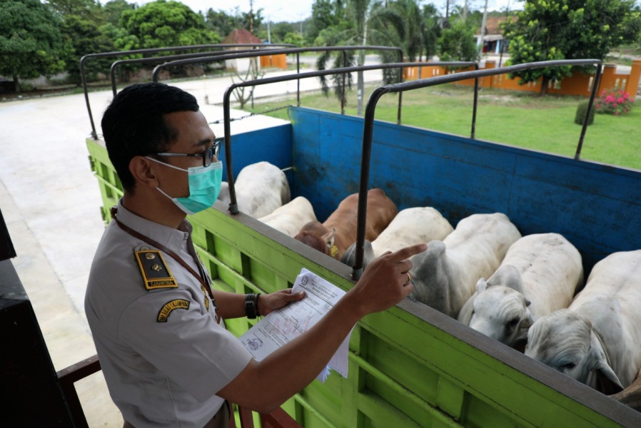 Formulir Usulan Pendaftaran Perusahaan/Usaha (TDP) Hewan Dan Produk Asal Hewan Dari Luar Provinsi Kalimantan Utara Untuk Di Analisa Risiko Provinsi Kalimantan Utara (PT, CV, KOPERASI, FARM/lainnya)