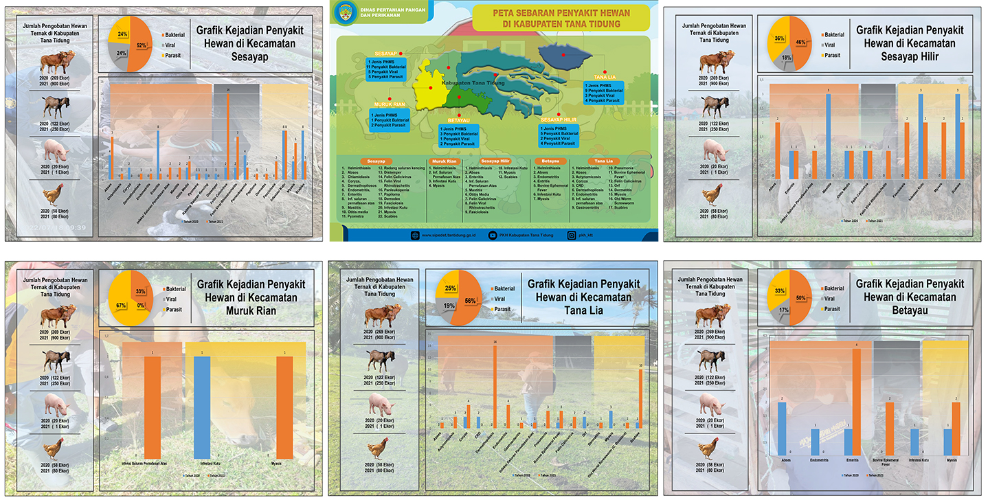 Infografis Sebaran Penyakit Hewan di Wilayah Kabupaten Tana Tidung