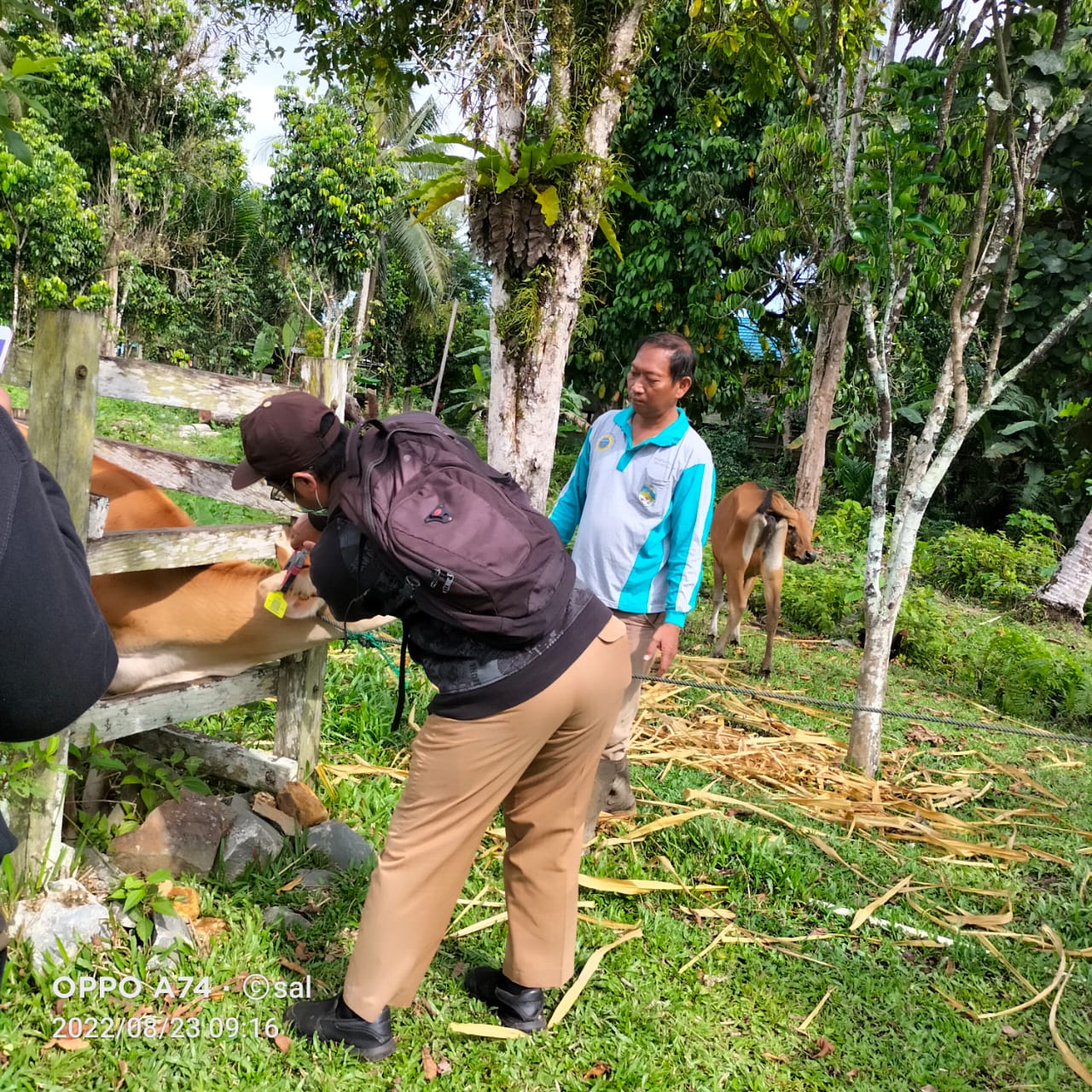 Pelaksanaan Pendataan dan Penandaan Hewan