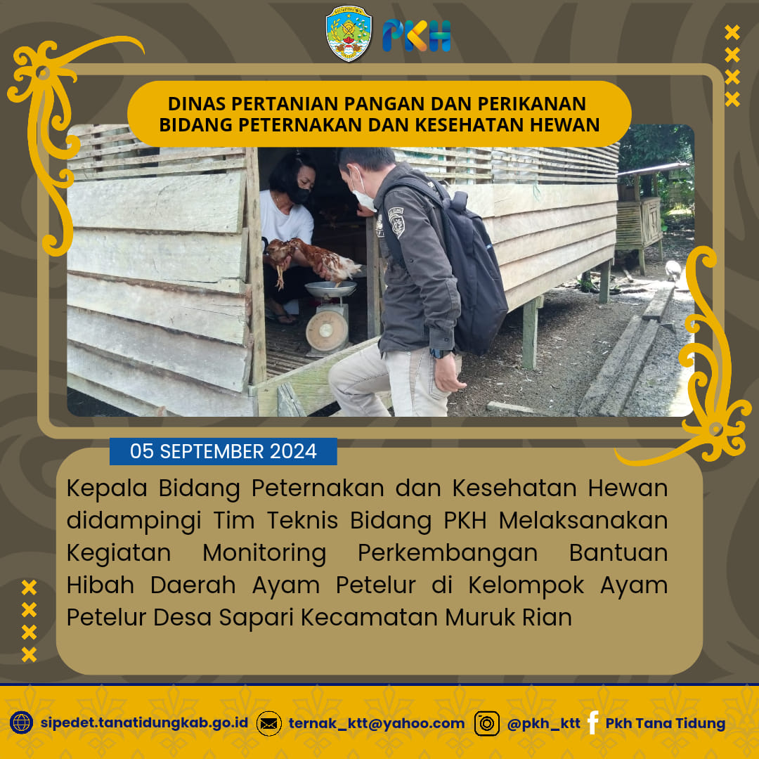 Monitoring Perkembangan Bantuan Hibah Daerah DOCAyam Petelur di Desa Sapari